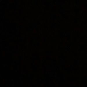 Meet your Posher, Mariah